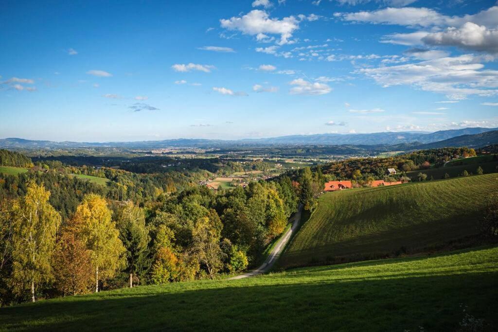 Chalet-Suedsteiermark - Traumhafte Aussicht, Infinity Pool, Privatsphaere, Klima Und De-Luxe Ausstattung Schwanberg Kültér fotó